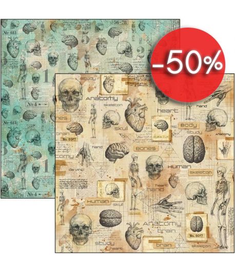 PAPIER HUMAN ANATOMY  SIGN OF THE TIMES CIAO BELLA 30.5X30.5CM CBSS154