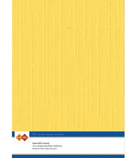 10 FEUILLES A4 21 X 29.7 CM - 240GR - JAUNE A404