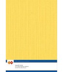 10 FEUILLES A4 21 X 29.7 CM - 240GR - JAUNE A404