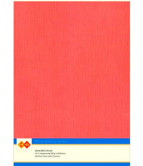 10 FEUILLES A4 21 X 29.7 CM - 240GR - FLAMINGO A442