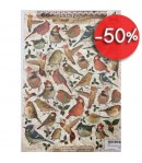 FEUILLE 3D OISEAUX VINTAGE