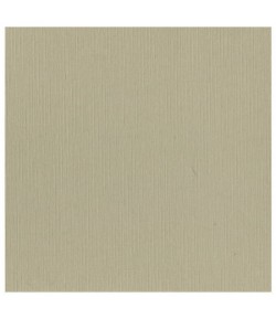 FEUILLE 30.5 X 30.5 CM 240GR - TAUPE (SC53)