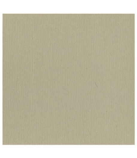 FEUILLE 30.5 X 30.5 CM 240GR - TAUPE (SC53)