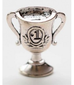 CHARMS COUPE X 10 - ARGENT