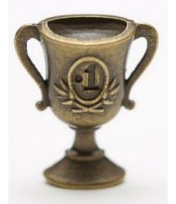 CHARMS COUPE X 5 - BRONZE