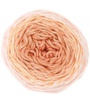 COTON RICORUMI SPIN SPIN POUDRE (003)