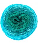 COTON RICORUMI SPIN SPIN TURQUOISE (009)