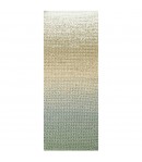 COTON RICORUMI SPIN SPIN PLATINE (011)