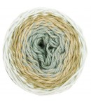 COTON RICORUMI SPIN SPIN PLATINE (011)