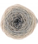COTON RICORUMI SPIN SPIN GRIS (016)