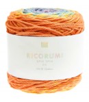 COTON RICORUMI SPIN SPIN EARTHY RAINBOW (019)