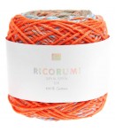 COTON RICORUMI SPIN SPIN SUMMER (022)