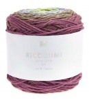 COTON RICORUMI SPIN SPIN AUTUMN (023)