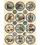 FORMES EN BOIS A5 COSMOS INFINITY - KLSP127 STAMPERIA