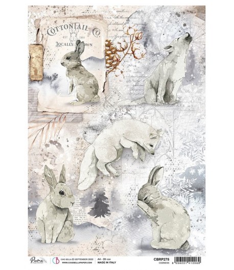 PAPIER DE RIZ A4 COZINESS 21 X 29.7 CM CIAO BELLA CBRP275