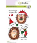 TAMPONS HEDGY 4 - A6