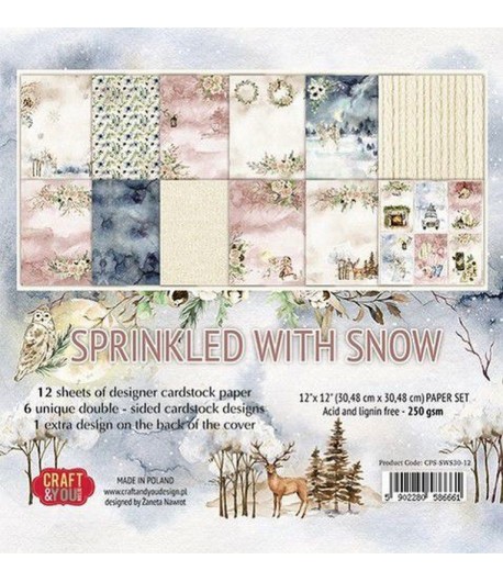 BLOC 12 FEUILLES 30.5 X 30.5 CM - SPRINKLED WITH SNOW