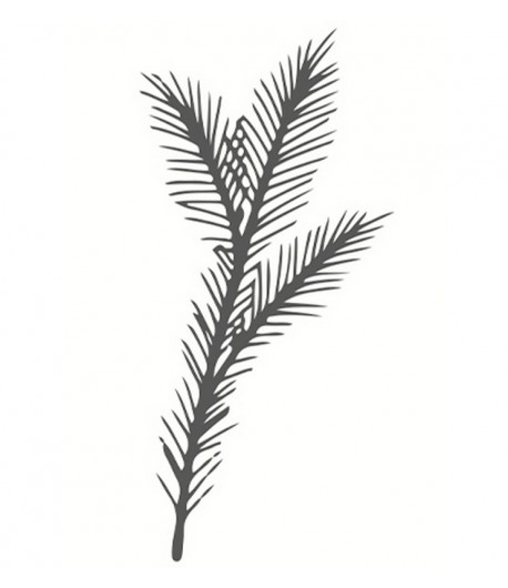 TAMPON BOIS - BRANCHE