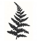 TAMPON BOIS - BRANCHE