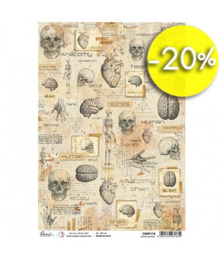 PAPIER DE RIZ A4 HUMAN ANATOMY 21 X 29.7CM CBRP176