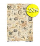 PAPIER DE RIZ A4 HUMAN ANATOMY 21 X 29.7CM CBRP176