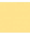 *ALLEGRO KAL50L 473ML COQUILLE