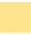 *ALLEGRO KAL50L 473ML COQUILLE