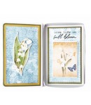 DIES ESSENTIALS BOOK BOX - CD497