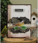 TAMPON CLEAR BIRD - CDECS138