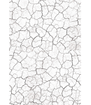 6 FEUILLES A4 VELLUM FARMHOUSE GARDEN CIAO BELLA CBV003