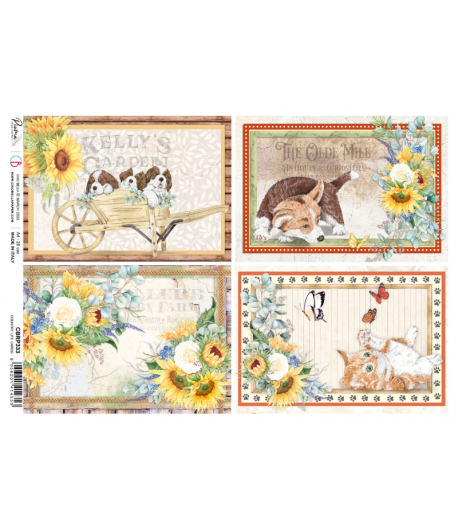 PAPIER DE RIZ A4 COUNTRY LIFE CARDS 21 X 29.7 CM CIAO BELLA CBRP333