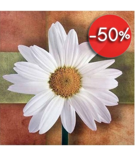 IMAGE 3D MARGUERITE DM33055 30X30