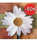IMAGE 3D MARGUERITE DM33055 30X30