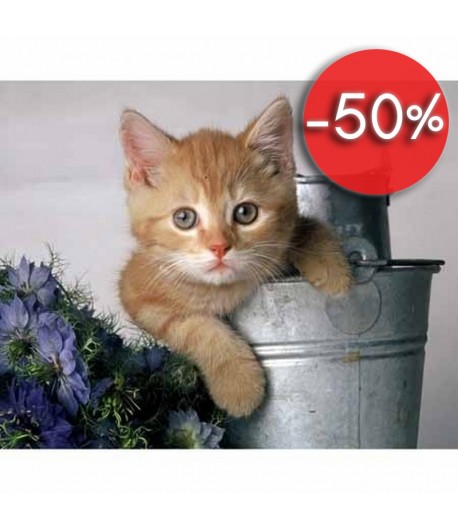 IMAGE 3D CHATON  ET SEAU 24X30 GK2430077