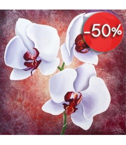 IMAGE 3D 30X30 ORCHIDEE BLANCHE GK3030030