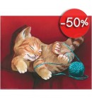 IMAGE 3D CHAT ET PELOTE GK2430053