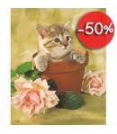 IMAGE 3D CHATON ET POTS  24X30 GK2430078