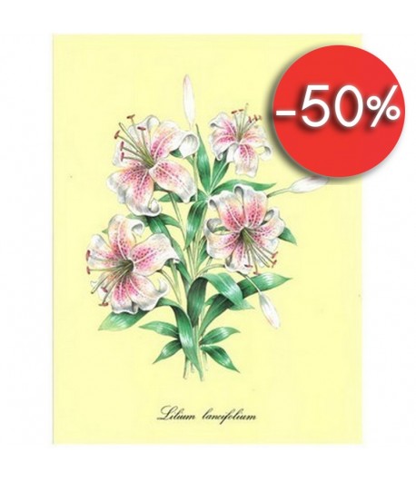 IMAGE 3D LILIUM 24X30 AS429