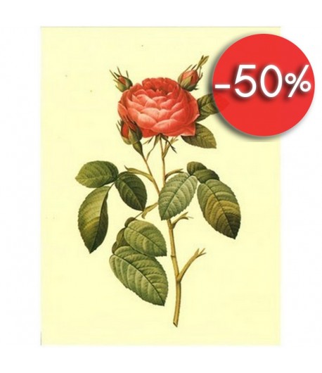 IMAGE 3D ROSE ROUGE 20X25 - AU029