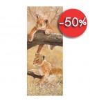 IMAGE 3D LIONCEAUX 20X50 DROITE 1000753