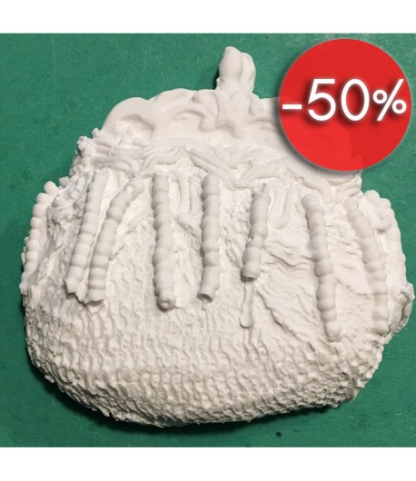 PLATRE PORTE-MONNAIE 5.5X5.3 CM