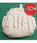 PLATRE PORTE-MONNAIE 5.5X5.3 CM