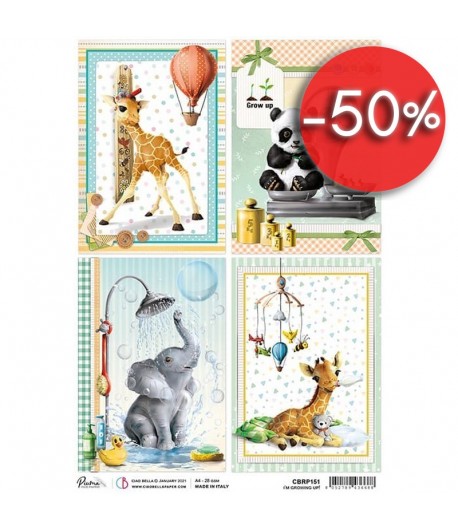 PAPIER DE RIZ A4 MY FIRST YEAR 21 X 29.7CM CBRP151