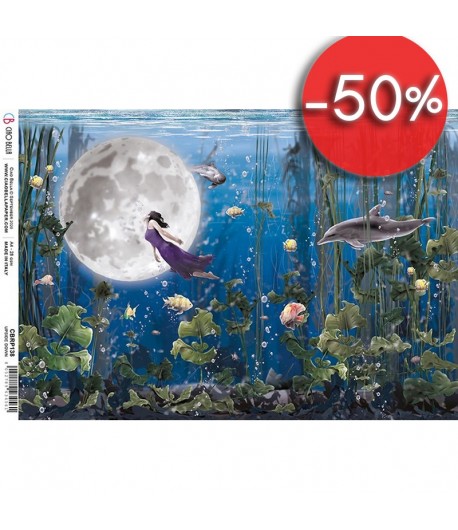 PAPIER DE RIZ MOON AND ME UPSIDE DOWN 21 X 29.7CM CBRP138