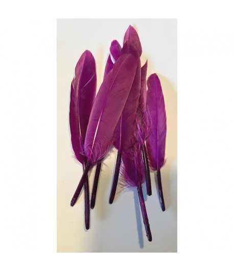 PLUMES DROITES X  10 - VIOLET