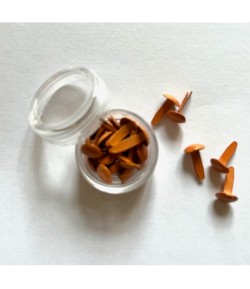 ATTACHES PARISIENNES ORANGE X 20