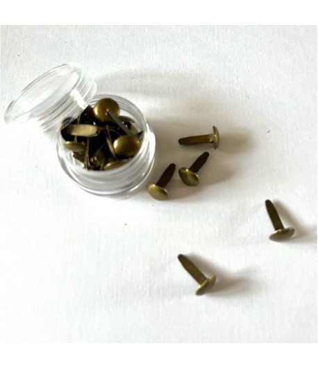 ATTACHES PARISIENNES BRONZE X 20