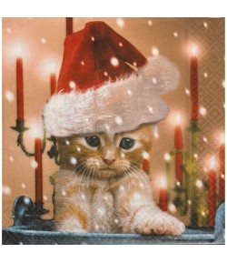 SERVIETTE CHATON DE NOEL
