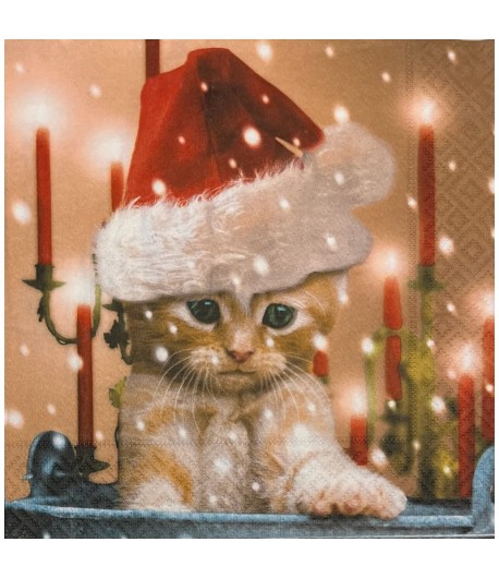 SERVIETTE CHATON DE NOEL