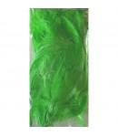 PLUMES VERT CLAIR 5-10CM